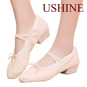 USHINE Profesionist de Balet, Pantofi de Dans pentru Femei, Fete, Copii Toc mic Pantofii de Dans Panza Profesor de Pantofi Pentru Dans Clasa